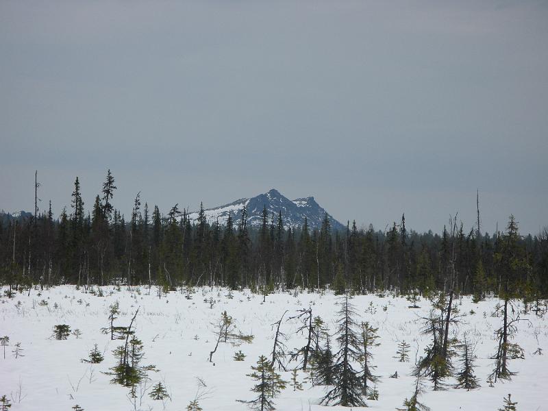 IMG_2392.JPG