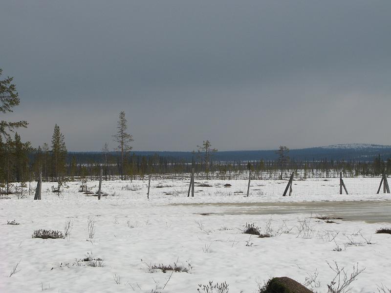 IMG_2446.JPG