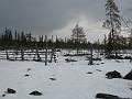 IMG_2444